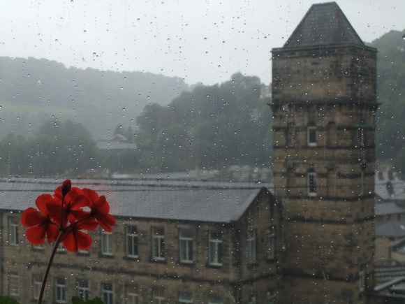 Flower, rain and mill, 5/9/11