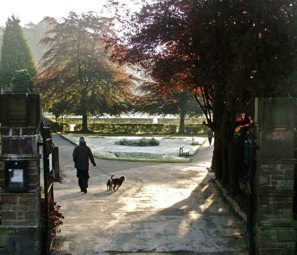 Frosty morning, 20/10/11