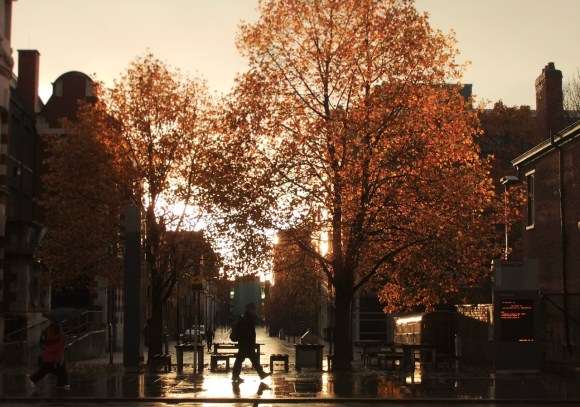 Golden light, 3/11/11