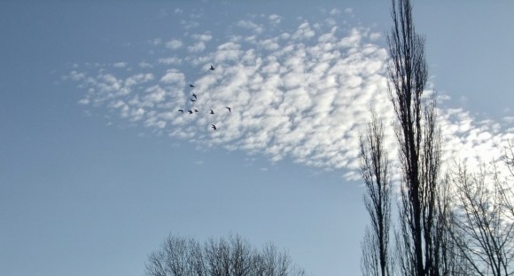 Flying south, 22/12/11