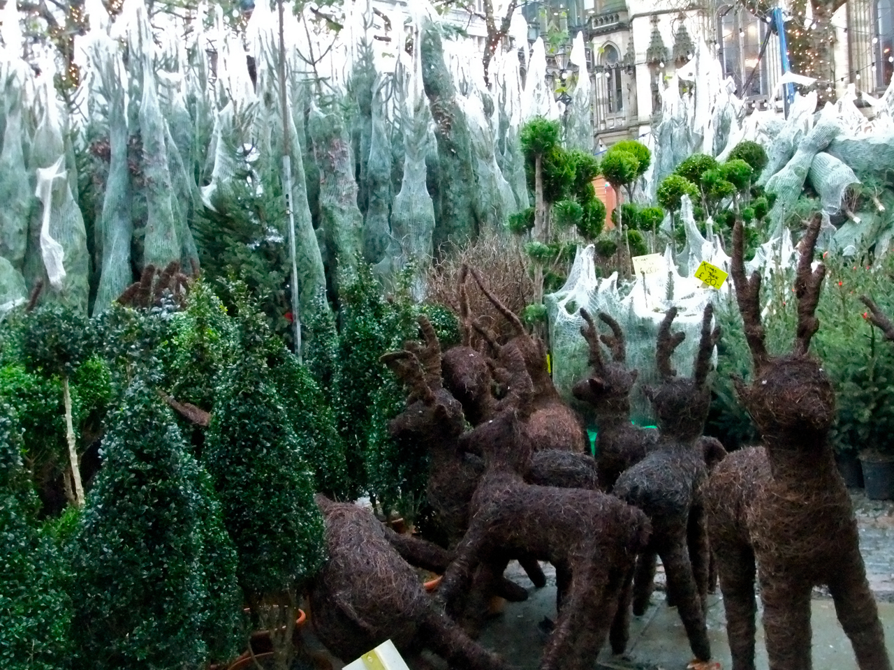 Xmas supplies, 12/12/11 Xmas supplies, 12/12/11