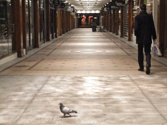 Arcade with pigeon, 10/1/12