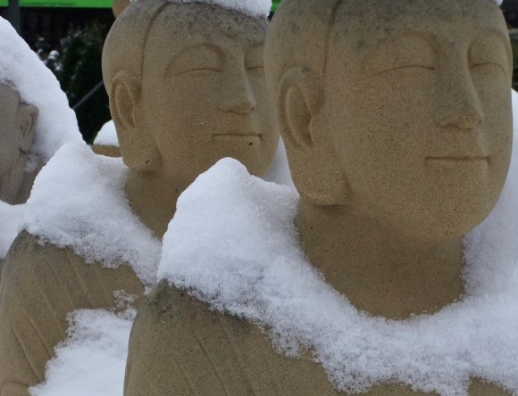 Snowy buddhas, 5/2/12