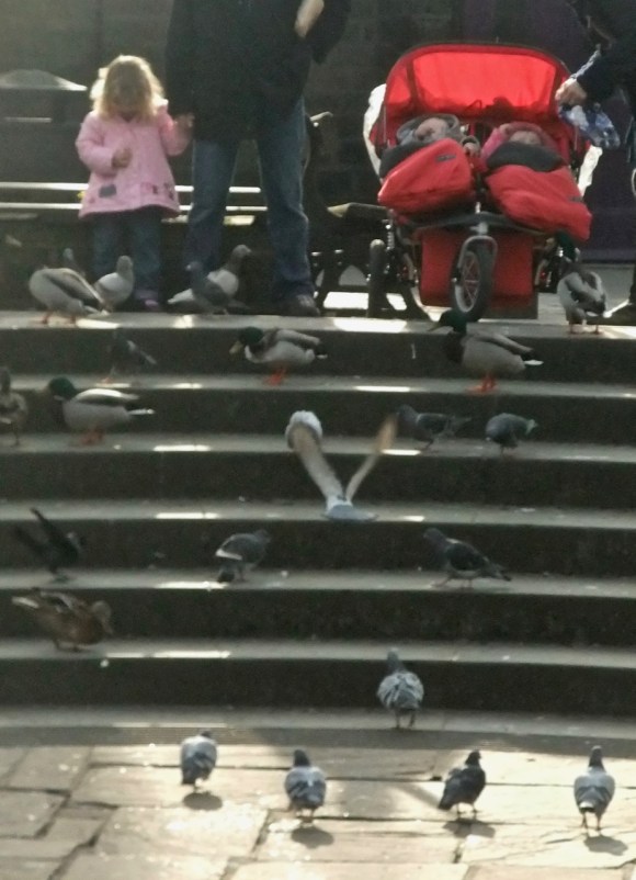 By the river, 16/3/12