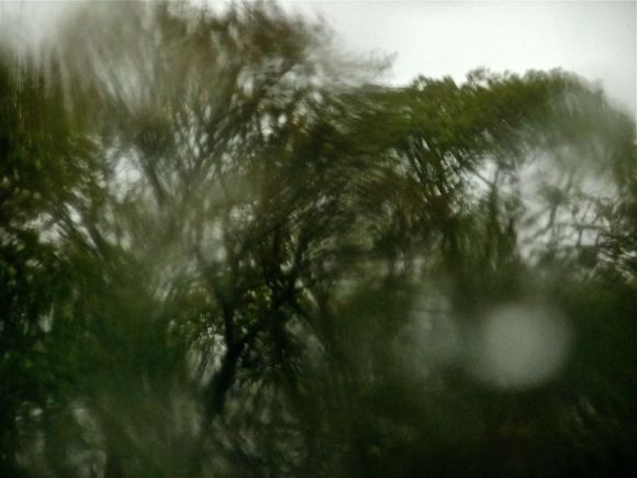 More rain, 29/4/12