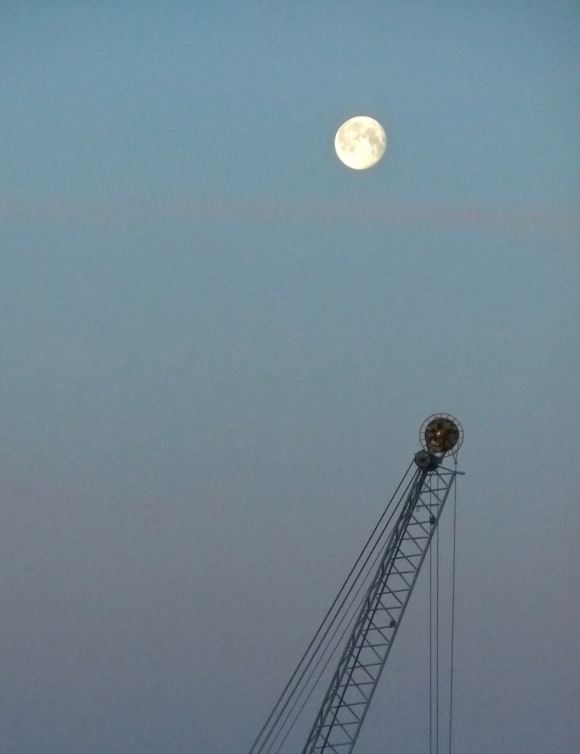 Moon and crane, 6/6/12