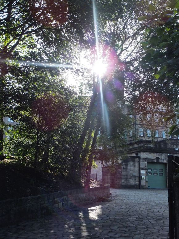 Calrec trees, 17/9/12