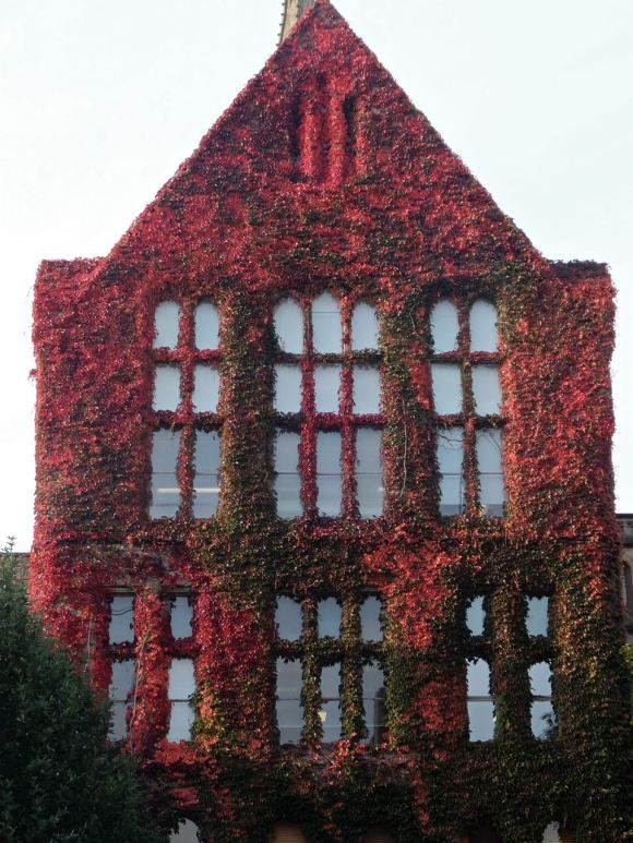 Beyer building, 8/10/12