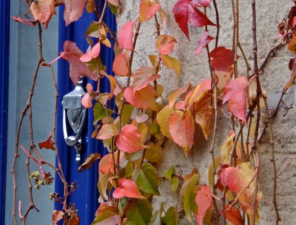 Front door, 28/10/12