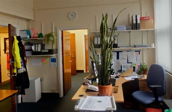 Mirka's pot plant, 12/11/12