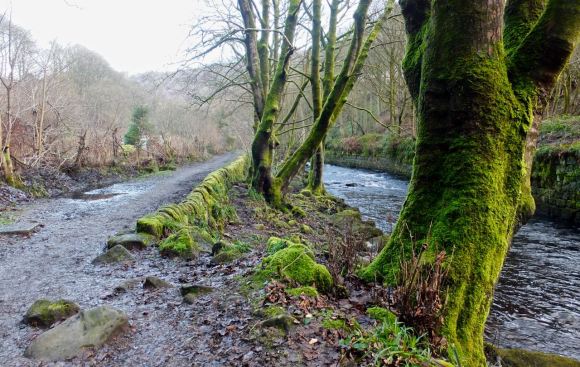 Hebden Water, 27/12/12