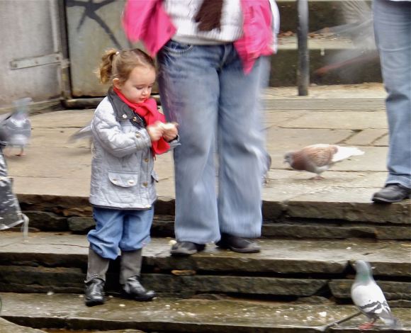 Feeding birds, 6/1/13