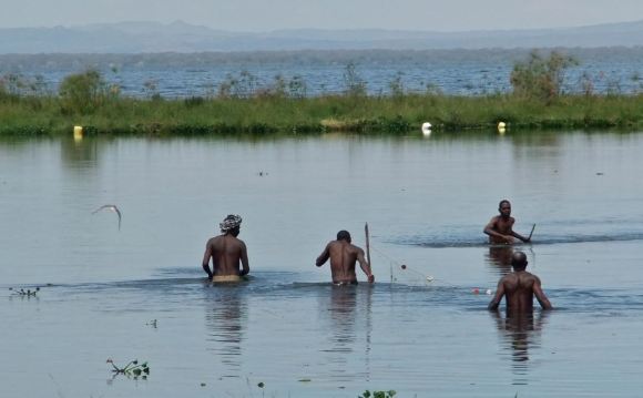 Lake Naivasha, 13/1/13