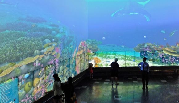 Digital Barrier Reef, 1/2/13