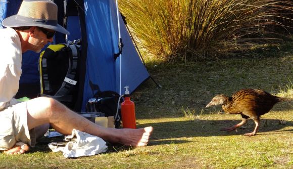 Georg and weka, 26/2/13