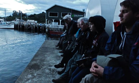 Waiting for penguins, 20/2/13