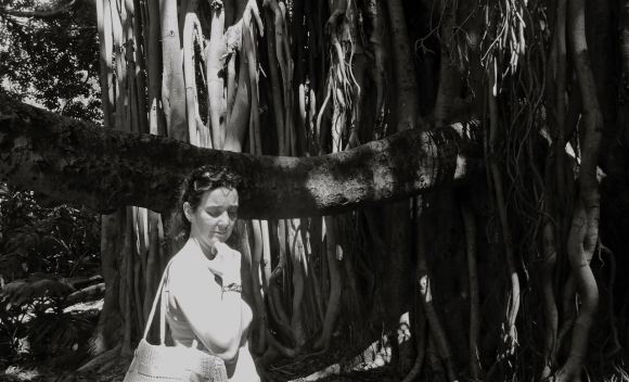 Clare and Banyan tree, 25/3/13