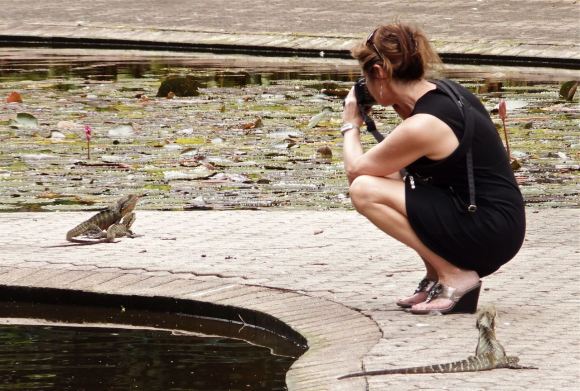 Lady and lizards, 14/3/13