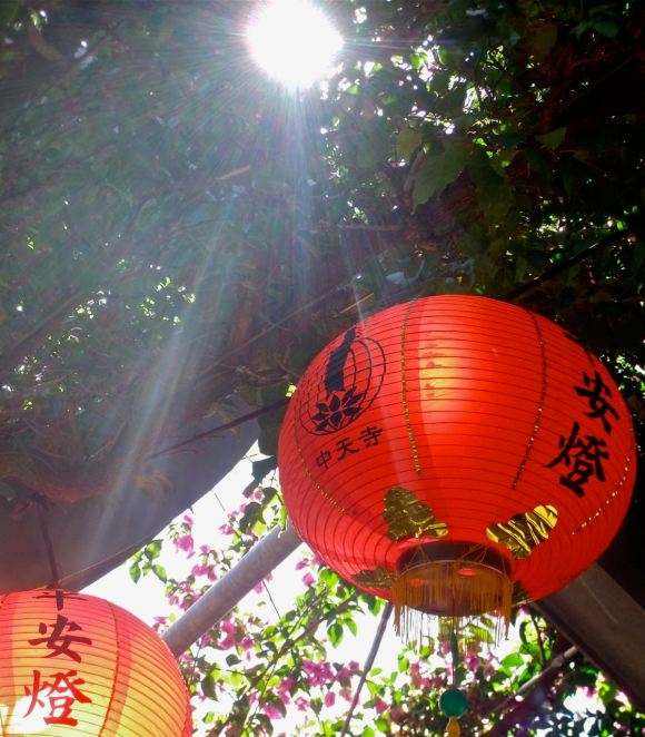 Buddha lanterns, 4/5/13