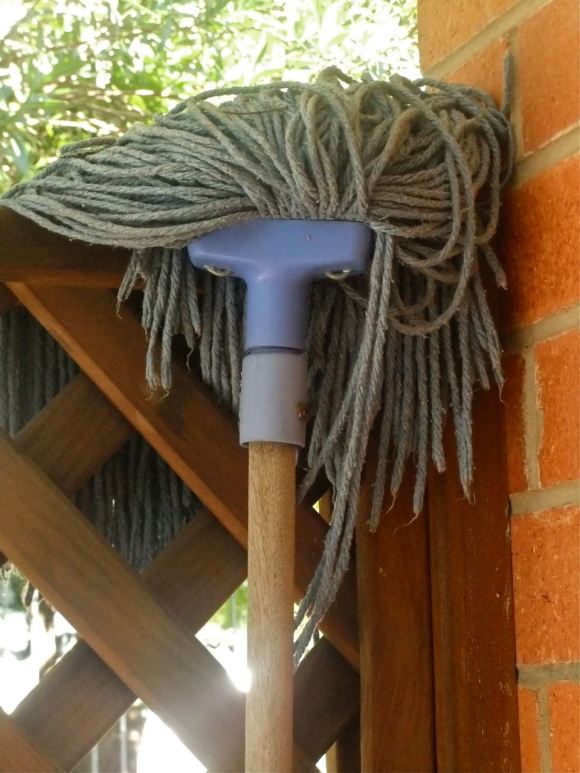 Evil mop, 2/5/13