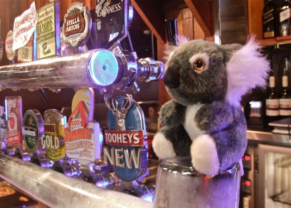 Koala toy, 5/5/13