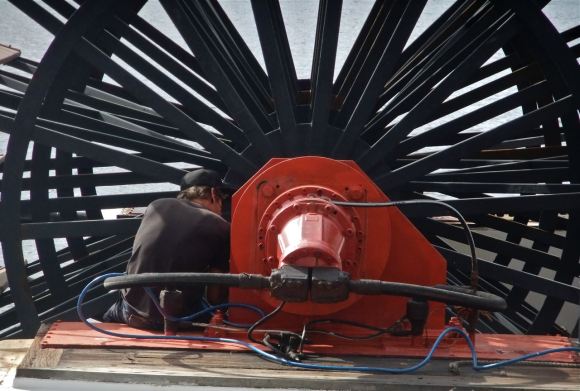 Kookaburra Queen, 6/5/13