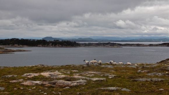 Hjeltefjorden, 8/6/13