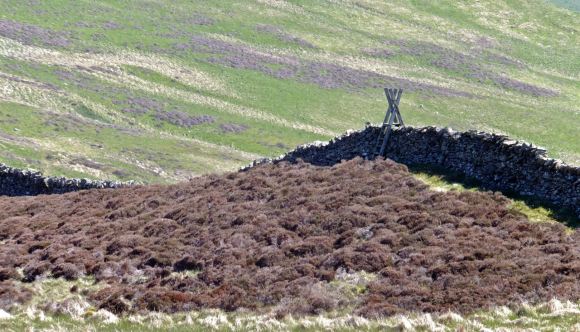 Ladder stile, 4/6/13