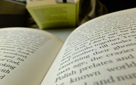 The Constant Gardener, 2/7/13