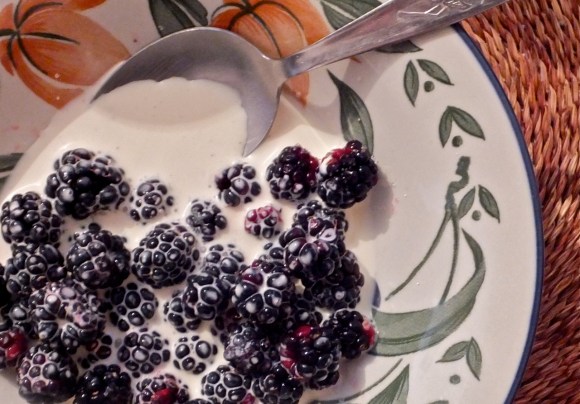Blackberries and cream, 9/9/13