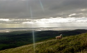 Duddon estuary, 11/10/13