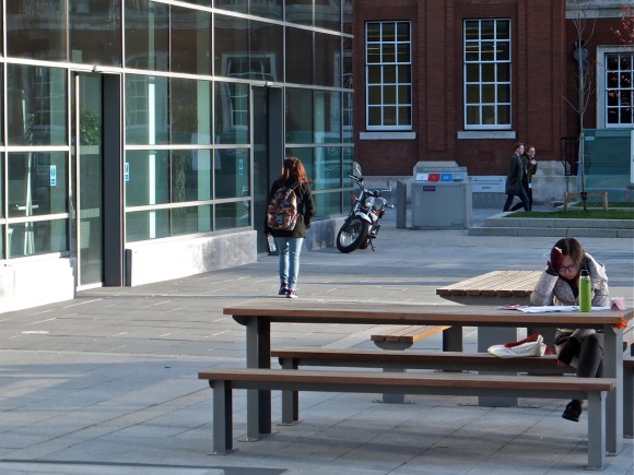 Studying outside, 12/11/13