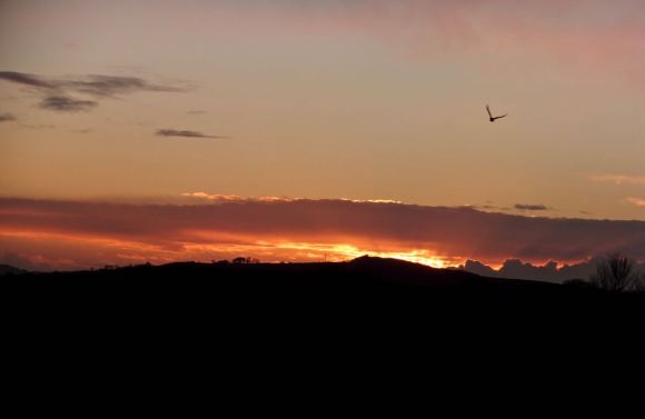 Sabden sunset, 22/12/13