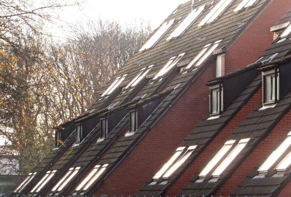 Whitworth Park, 9/12/13