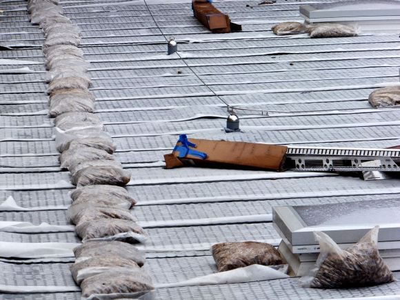 Stones on roof, 25/2/14
