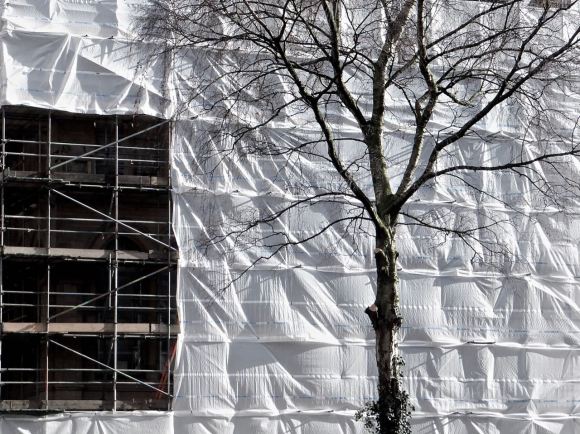 Tree and scaffolding, 20/2/14