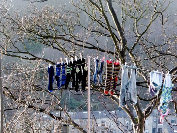 Washing line, 28/2/14