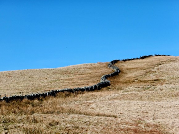 Little Yarlside, 11/3/14