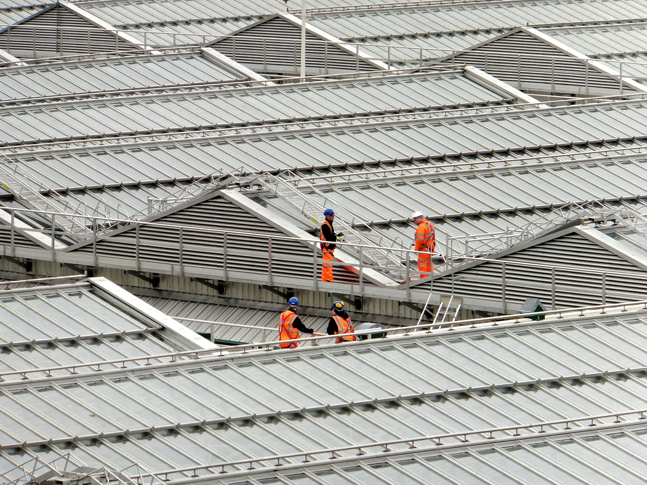 Waverley station, 9/4/14