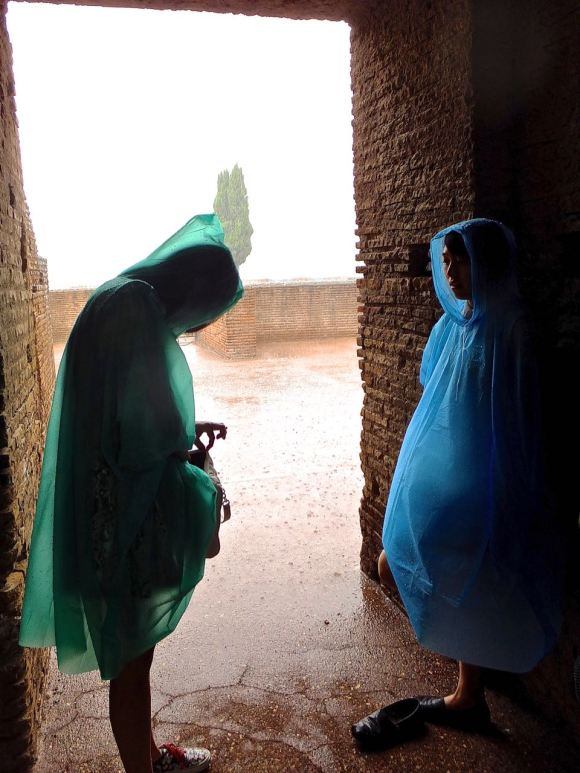 Shelter, Palatine Hill, 22/7/14