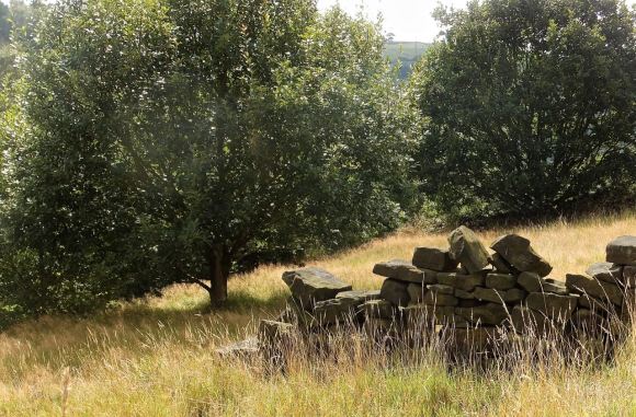 August field, 14/8/14