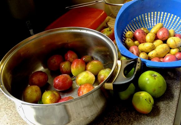 Garden produce, 25/8/14
