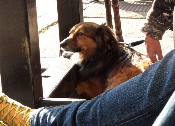 Under the table, 20/8/14