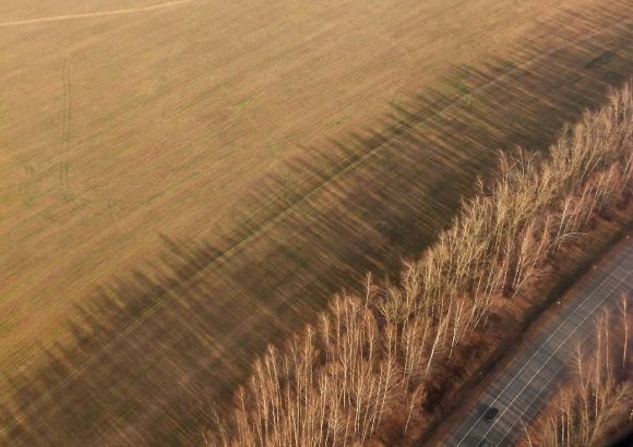 Birch avenue, 26/10/14