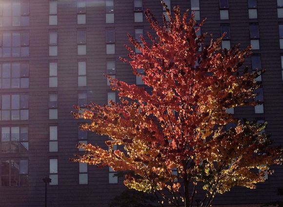 Kenyon building, 1/10/14