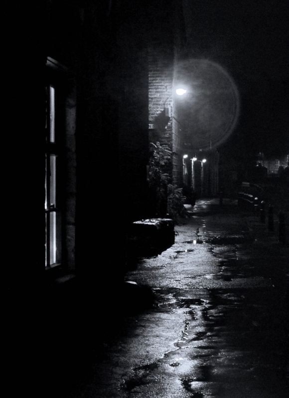 Canal towpath, 21/11/14