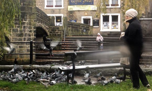 Feeding time, 8/11/14