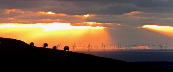 Environmental capital, 29/12/14