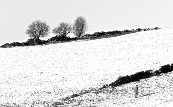 In the snow, 28/12/14