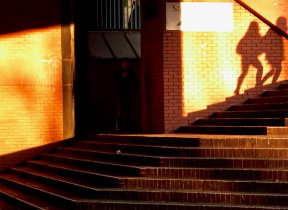 Three shadows, 2/12/14